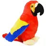 Papaya the Parrot