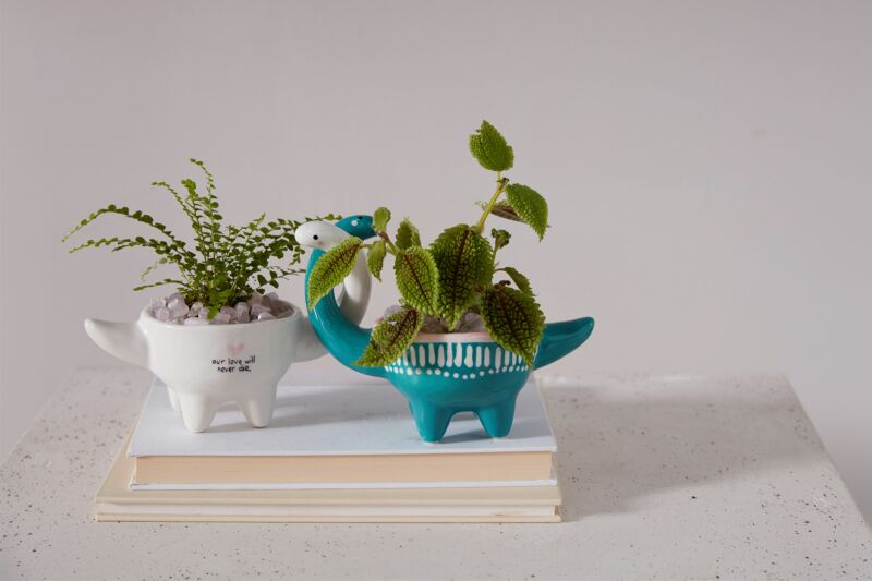 Dino Love Duo Pot Covers