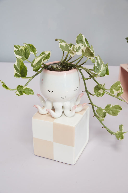 Octo Pot Cover