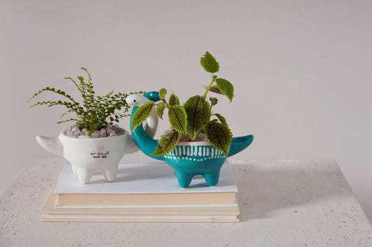 Dino Love Duo Pot Covers