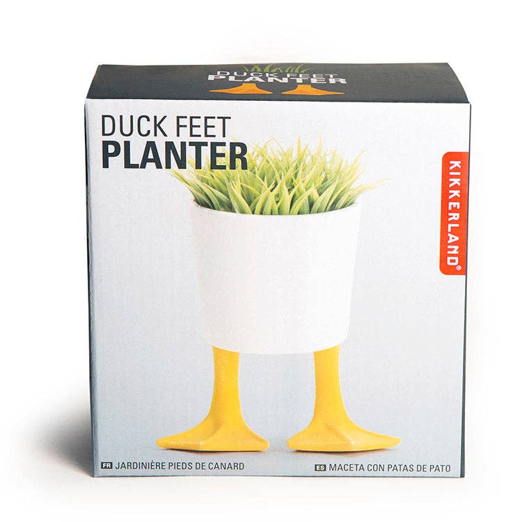 Large Duck Feet Planter