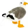 Seamus the Seagull